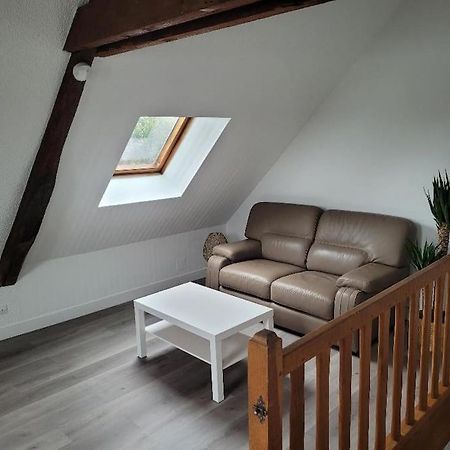 Appartement Avec Vue Sur Loire Blois Ngoại thất bức ảnh