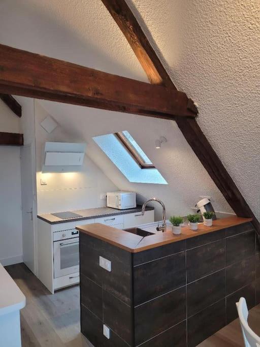 Appartement Avec Vue Sur Loire Blois Ngoại thất bức ảnh