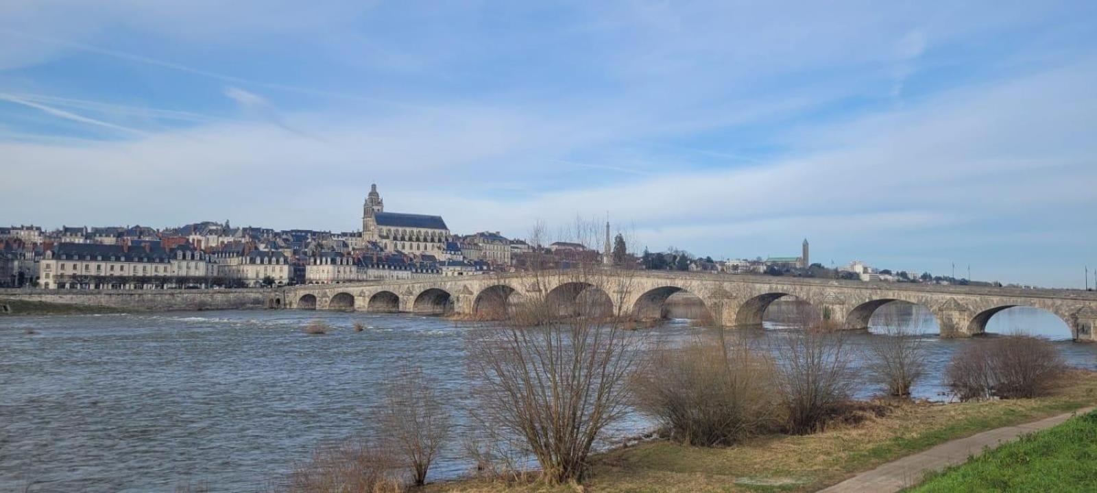 Appartement Avec Vue Sur Loire Blois Ngoại thất bức ảnh
